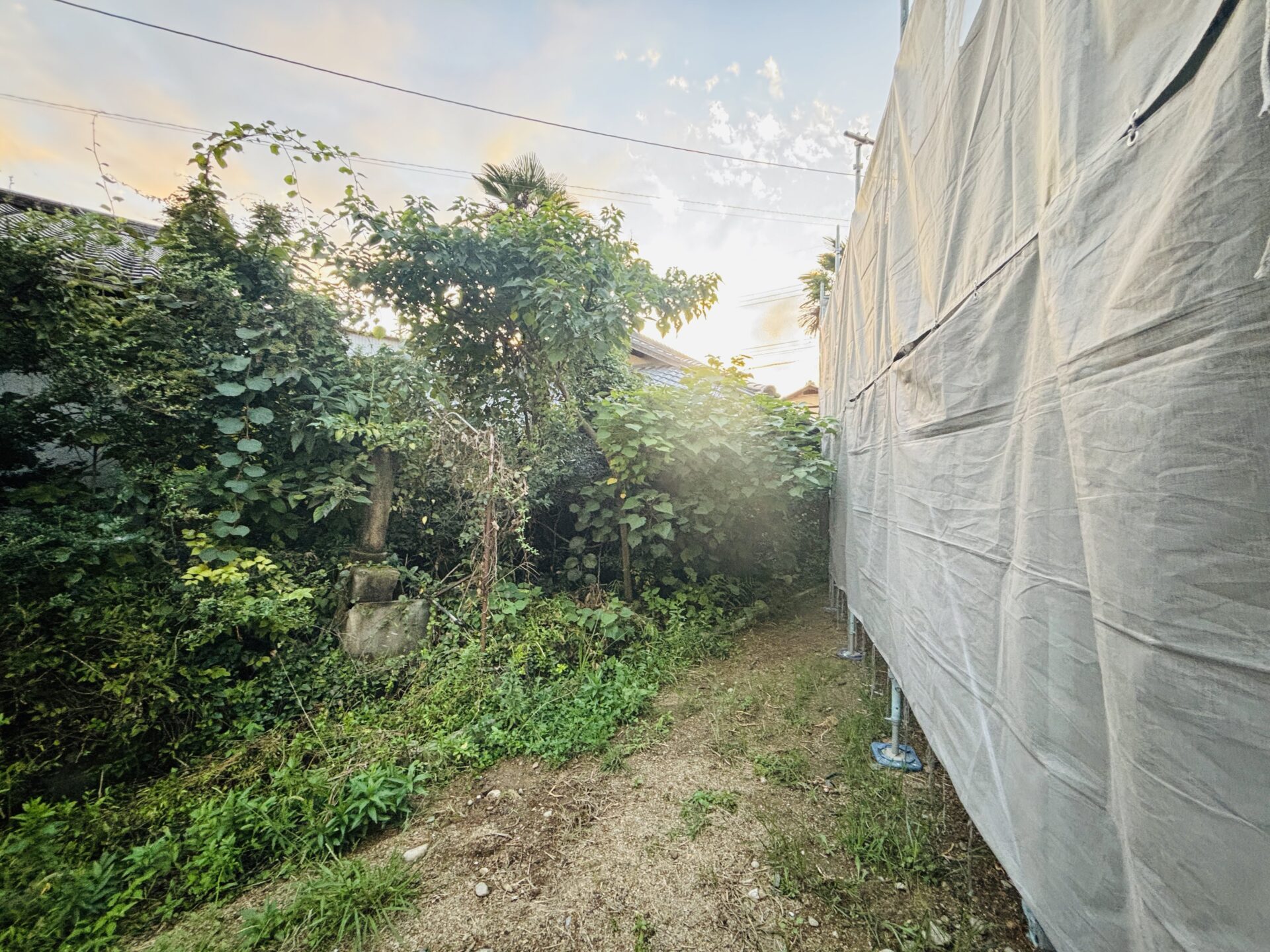 これから新築を建てるのですが…隣地の越境した枝は切っていいの？